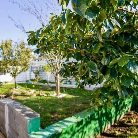 Comodo Y Coqueto Con Jardin En 펜션